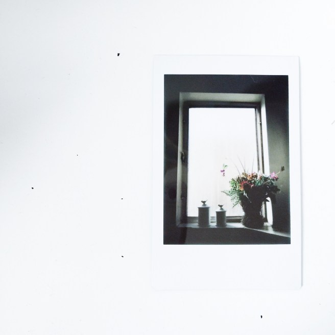 Processed with VSCOcam with s2 preset